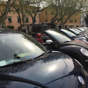 Raduno di primavera 2017