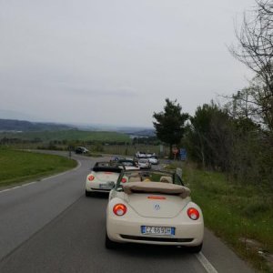 Raduno di primavera 2017