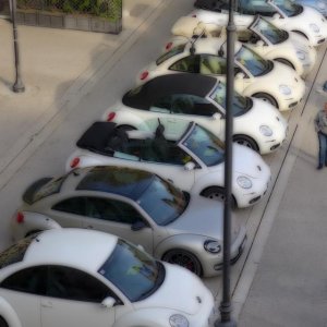 37? raduno  Toscana Primavera 2017