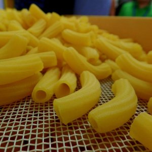 37? raduno  Toscana Primavera 2017