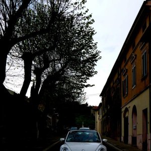 37? raduno  Toscana Primavera 2017