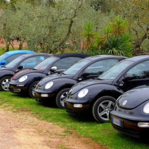 37? raduno  Toscana Primavera 2017