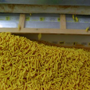 37? raduno  Toscana Primavera 2017