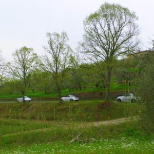 37? raduno  Toscana Primavera 2017