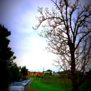 37? raduno  Toscana Primavera 2017