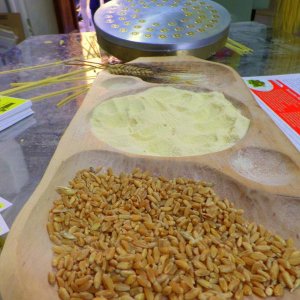 37? raduno  Toscana Primavera 2017