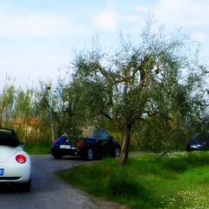 37? raduno  Toscana Primavera 2017