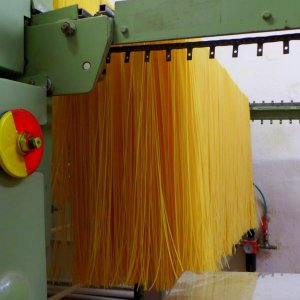 37? raduno  Toscana Primavera 2017