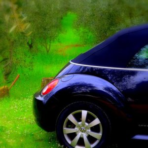 37? raduno  Toscana Primavera 2017