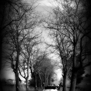 37? raduno  Toscana Primavera 2017