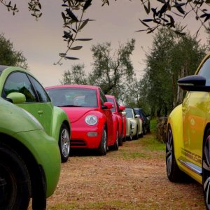 37? raduno  Toscana Primavera 2017