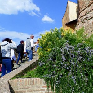 37? raduno  Toscana Primavera 2017