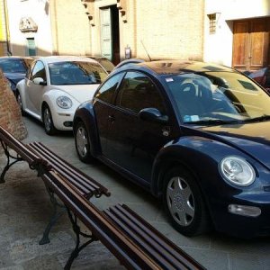 Qualche scatto qua e l?