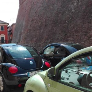 Raduno di Primavera Colline Pisane