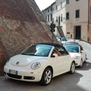 Raduno di Primavera Colline Pisane