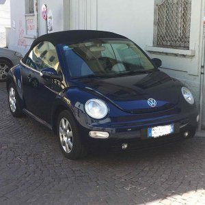new beetle - 30