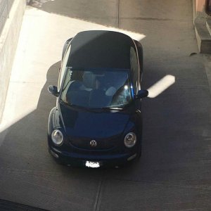 new beetle - 31