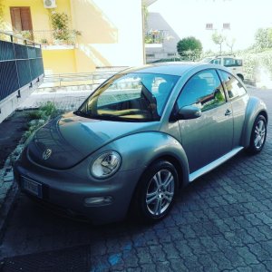 La mia beetle