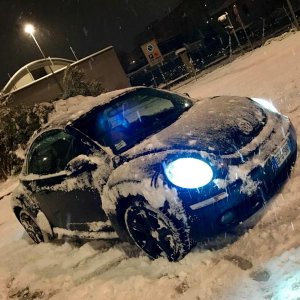 Un maggiolone sulla neve