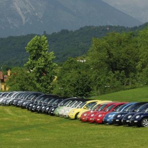 NBCI 23 raduno Belluno Dolomiti 2012