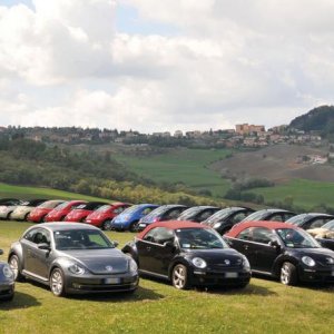 NBCI 24 raduno Loiano BO 2012