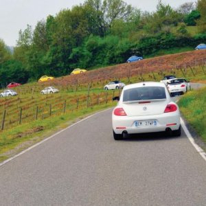 NBCI 28 raduno Vigoleno 2014