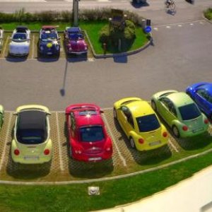 NBCI 30 raduno Borghetto 2014