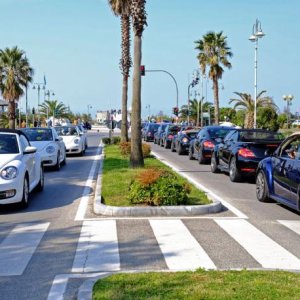 NBCI 31 Versilia 2015