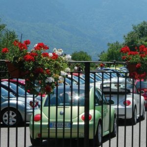 NBCI 38 Valle Camonica BS 2017