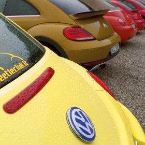 NBCI 39 raduno Alta Marca TV 2017