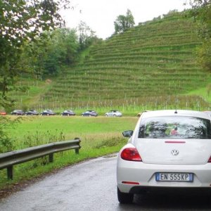 NBCI 39 raduno  Conegliano Veneto 2017