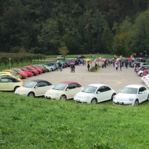 Media 'NBCI 39 raduno  Alta Marca Trevigiana 2017' in category 'FOTO RADUNI'