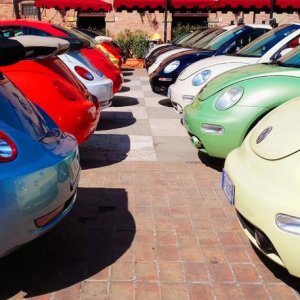 NBCI 40 raduno Castelvetro di Modena 2018