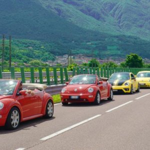 NBCI 41 raduno Trento