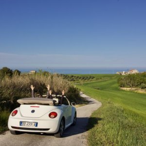 Media 'Come sulle montagne russe' in album 'elchico'