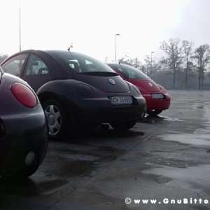 27-11-2005 - Monza 2005