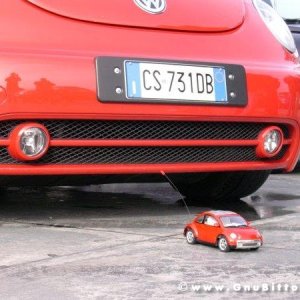 27-11-2005 - Monza 2005