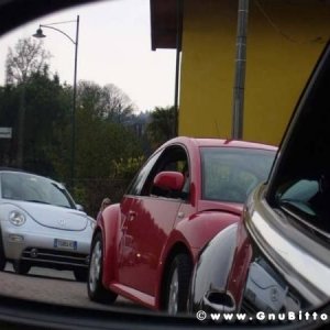 30-03-2008 - pORTA lo Gnu al Lago! 2008