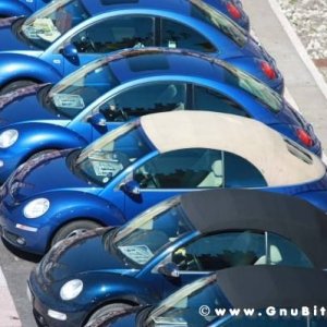 20-03-2011 - Scacco alla Gnu