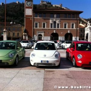 20-03-2011 - Scacco alla Gnu