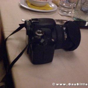 20-03-2011 - Scacco alla Gnu