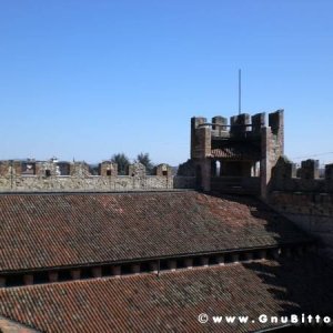 20-03-2011 - Scacco alla Gnu