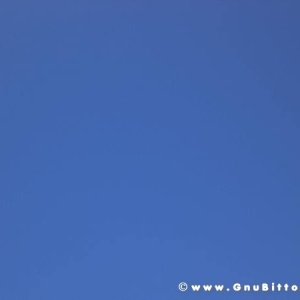 20-03-2011 - Scacco alla Gnu