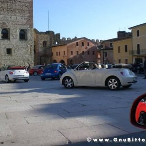 20-03-2011 - Scacco alla Gnu