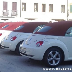 20-03-2011 - Scacco alla Gnu