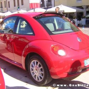 20-03-2011 - Scacco alla Gnu