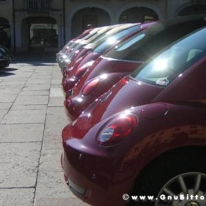 20-03-2011 - Scacco alla Gnu