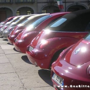 20-03-2011 - Scacco alla Gnu