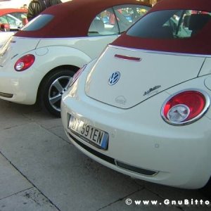 20-03-2011 - Scacco alla Gnu