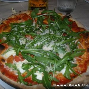 20-03-2011 - Scacco alla Gnu